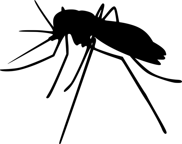 ink drawing of a mosquito