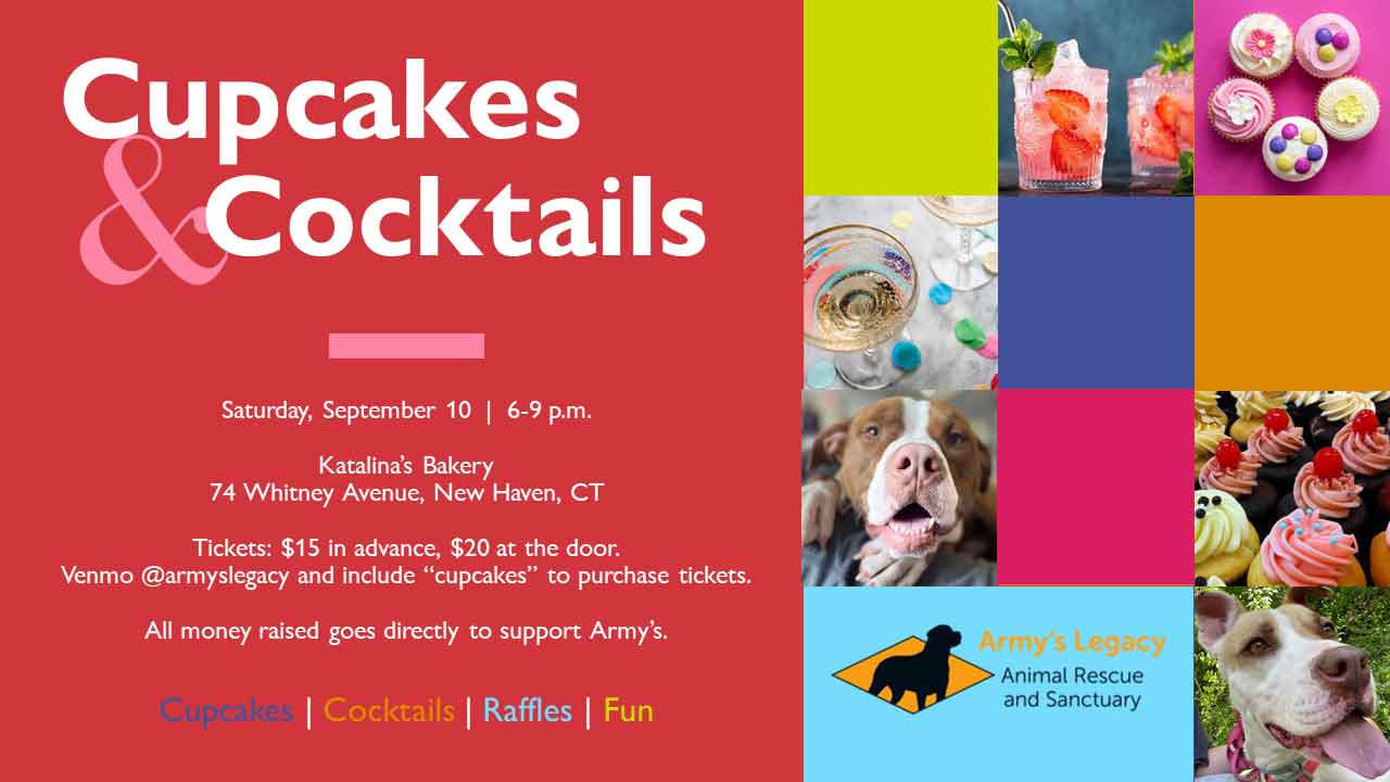 Cupcakes & Cocktails Charity Event at Katalina's Bakery in New Haven CT