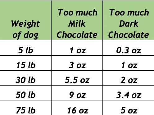 how much is too much chocolate for a dog?